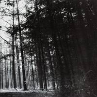 Sentimen Beltza : Erio - Hegan Egiten